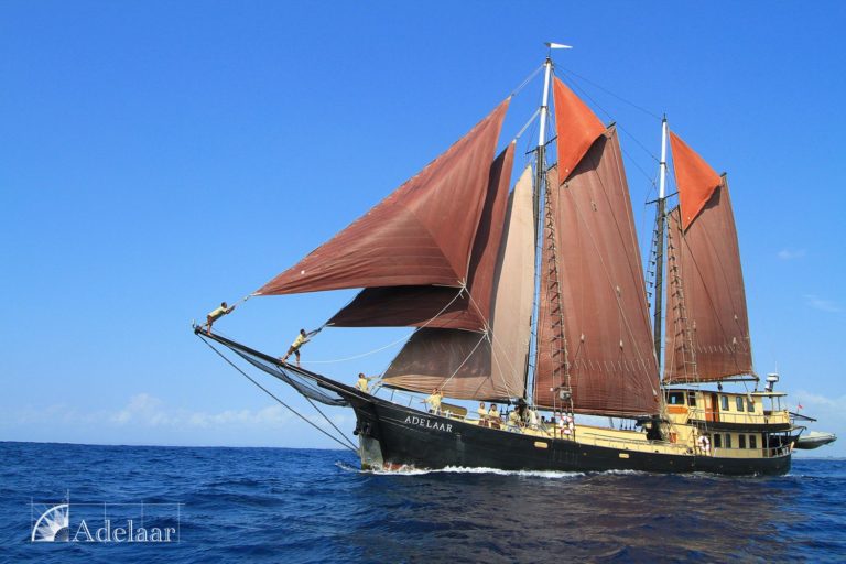 Land & Sea Luxury Diving Cruises Komodo from Bali round trip