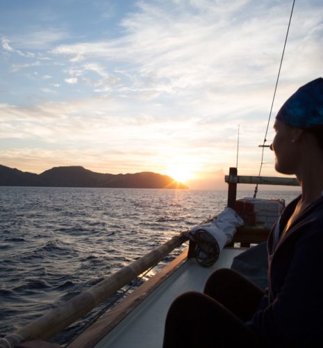 Komodo Diving and Snorkeling Cruise with Lambo