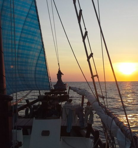 Alor - Banda Sea – Ambon (Ring of Fire) DIVING Cruise with Lambo