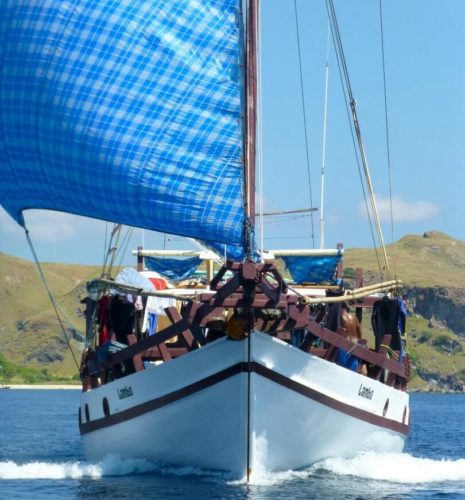 Alor - Banda Sea – Ambon (Ring of Fire) DIVING Cruise with Lambo