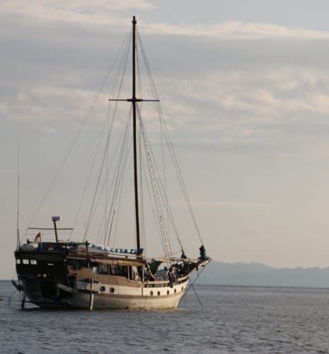Wakatobi – Bira (Sulawesi) Diving and Snorkeling Cruise with Lambo