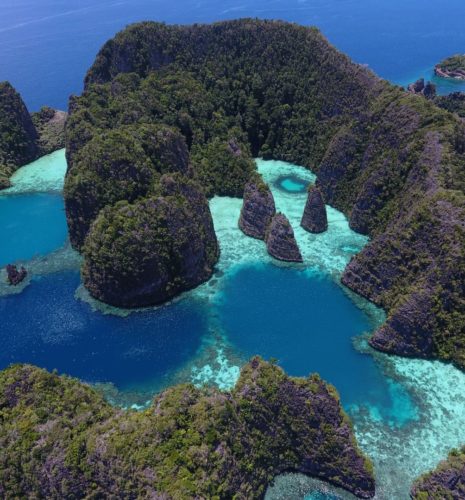 Ambon – Banda Sea – Raja Ampat DIVING Cruise with Lambo